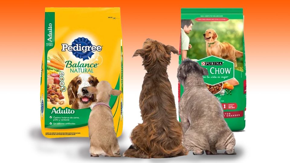 ¿Pedigree o Dog Chow?