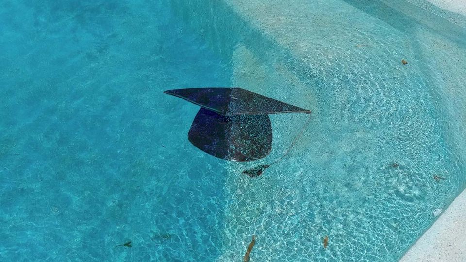 En fiesta de graducaión de secundaria joven se ahoga en alberca