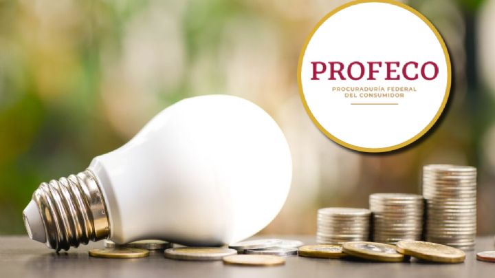 Profeco: estos son los mejores focos para tu casa; te harán ahorrar en el recibo de la luz