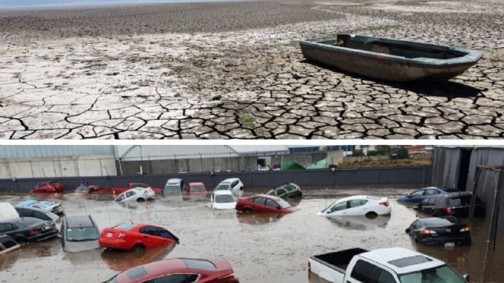 Llegó el fenómeno El Niño; ¿qué es y cómo afecta al clima en nuestro país?