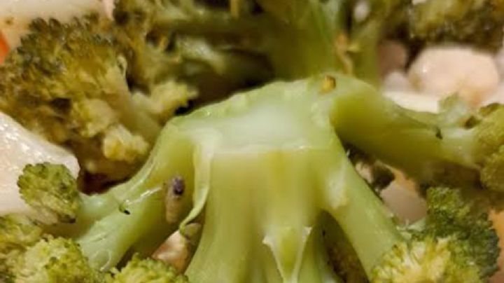 ¿Sirvieron comida con gusanos en hospital? Esto responde la secretaria de Salud