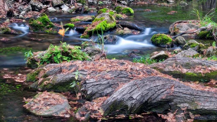 Honey Creek: un área natural de Texas donde vivían tribus nativas
