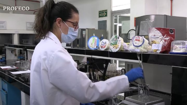 NocheBuena: ¿cuál de estos quesos es mejor, el panela o el Oaxaca?, según Profeco
