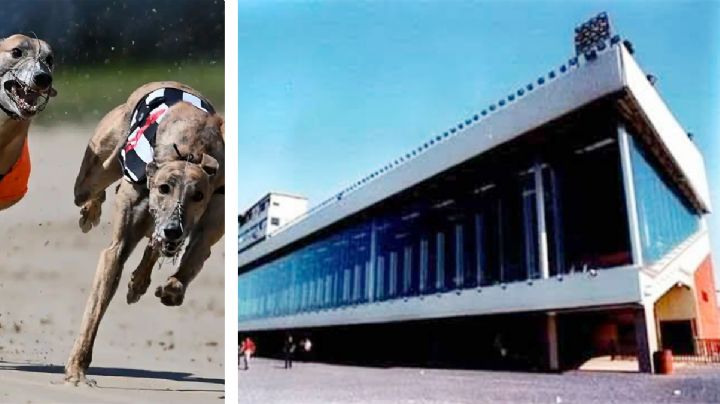 Hipódromo y galgódromo de Nuevo Laredo: así apostaban los neolaredenses en los 80