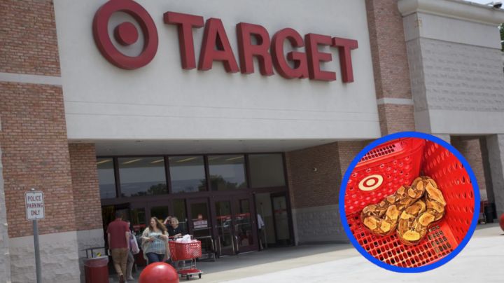 Susto de muerte: Encuentran boa constrictor en carrito de supermercado