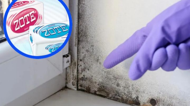 Dile adiós a la humedad de tu casa con con esta mezcla con Jabón Zote 100% casera