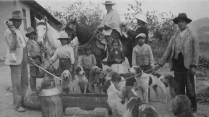 Este es el origen del nombre 'Firulais' de los perros