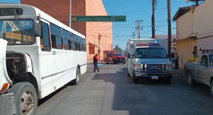 Abuelita es atropellada en el sector centro por camión urbano; pierde la vida