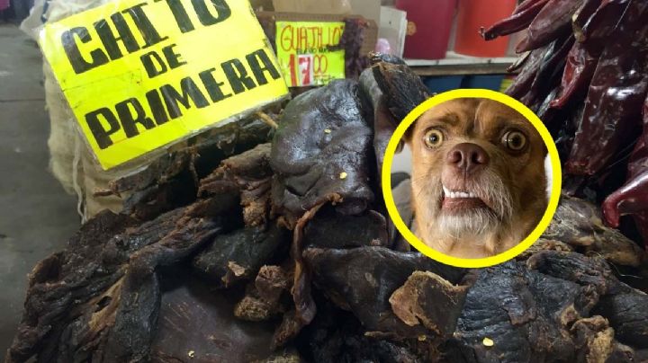 El chito, ¿de dónde proviene esta 'rica carne' salada o enchilada?