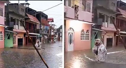 Abandonan al Dr. Simi en medio de la inundación, nadie le echa la mano | VIDEO