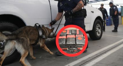 Cae trailero con casi un millón de dólares en cocaína en puente 3; oficial canino lo delata