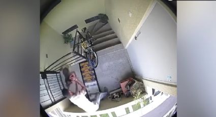 Lanza a perro desde un tercer piso; cámara de seguridad graba todo | VIDEO