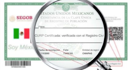 SIDEA: cómo obtener el acta de nacimiento y CURP certificada