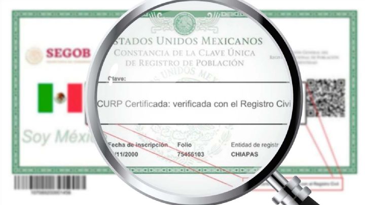 SIDEA: cómo obtener el acta de nacimiento y CURP certificada