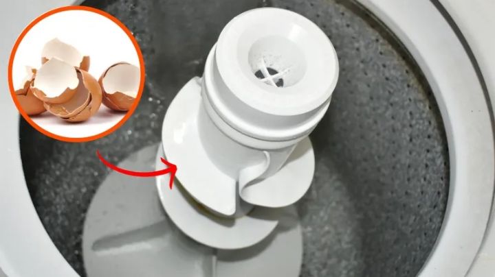Por esta razón la gente está metiendo cáscaras de huevo en la lavadora