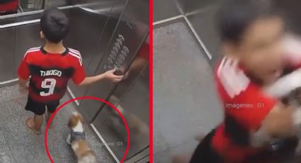 Perrito casi muere ahogado en elevador; su pequeño dueño lo salvó | VIDEO