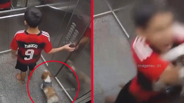 Perrito casi muere ahogado en elevador; su pequeño dueño lo salvó | VIDEO