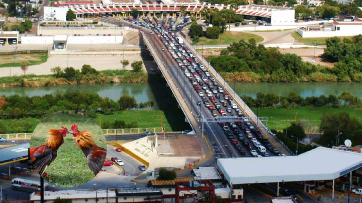 Decomisan navajas para peleas de gallos en el puente internacional Juárez - Lincoln