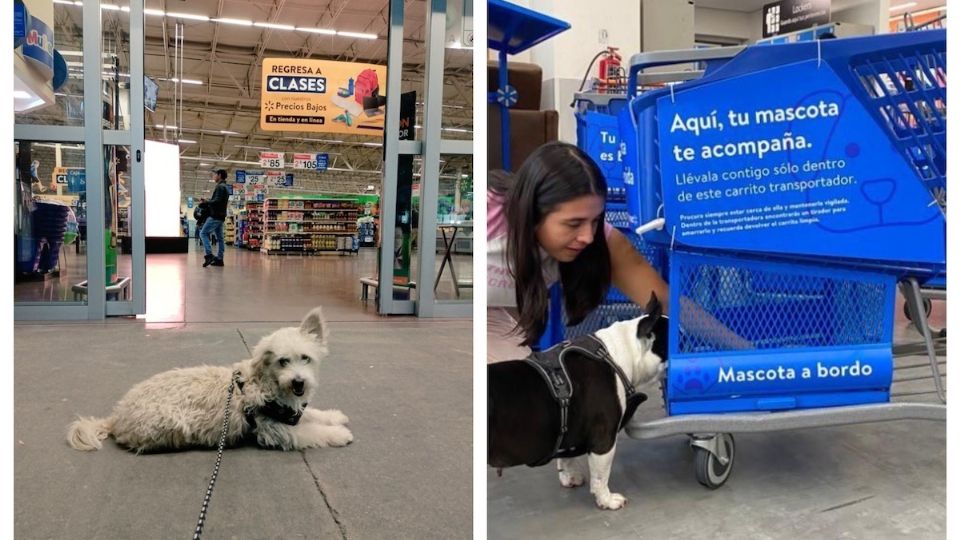 Algunas sucursales de Walmart ya están adaptadas para recibir a las mascotas.