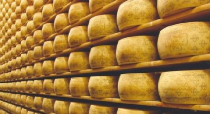 Empresario italiano muere sepultado por 25 mil quesos Grana Padano