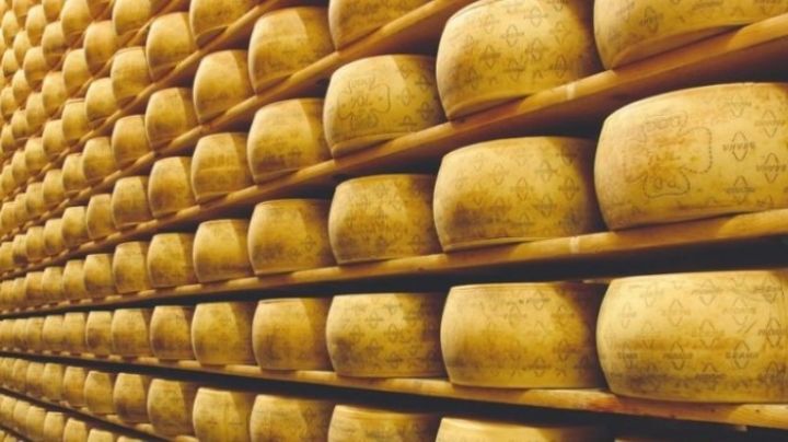 Empresario italiano muere sepultado por 25 mil quesos Grana Padano