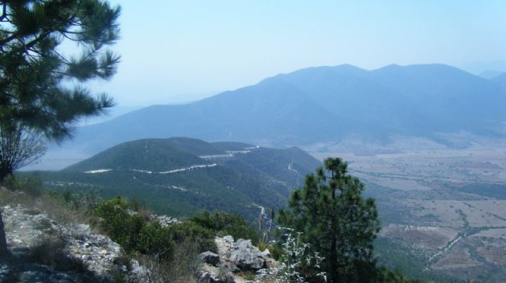 Miquihuana, Tamaulipas, hábitat natural del oso negro y el venado cola blanca