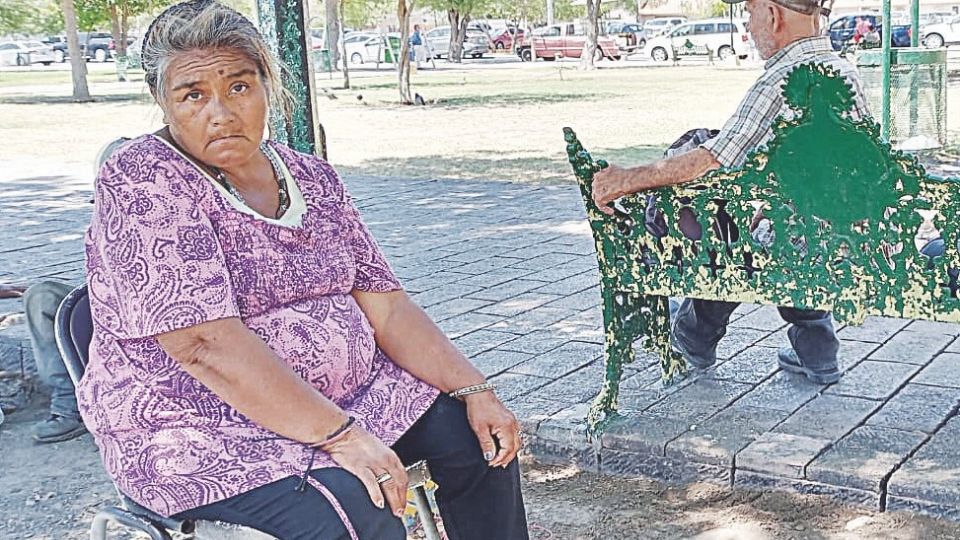 La competencia por un poco de sombra o una banca en la plaza es intensa todos los
días.