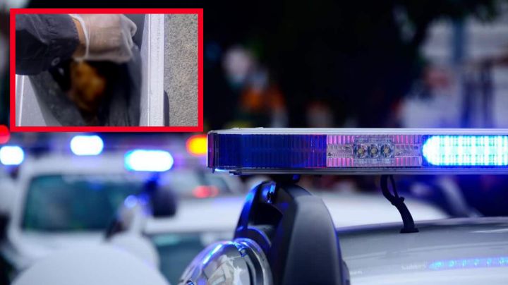 Macabro hallazgo: Encuentran restos humanos dentro de una hielera