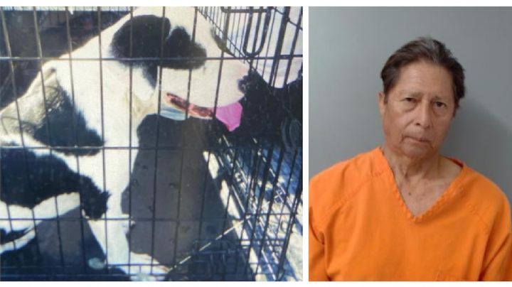 Abandona a perro en la carretera y lo detiene por crueldad animal