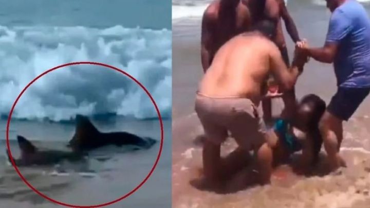 Tiburón muerde a dos personas en playa; se declara alerta en un rango de 36 kilómetros