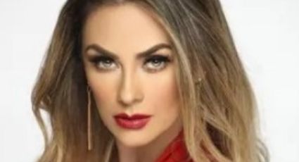 ¿Luis Miguel no da ni 300 pesos? Es un deudor alimentario, me cae mal: Aracely Arámbula