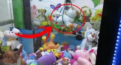 Revelan truco para sacar peluches de las máquinas | VIDEO