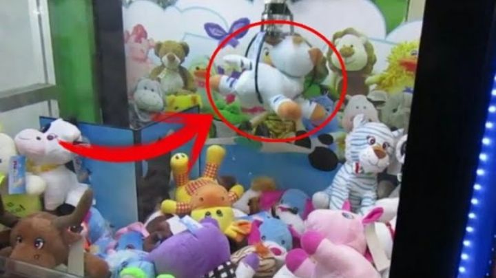 Revelan truco para sacar peluches de las máquinas | VIDEO