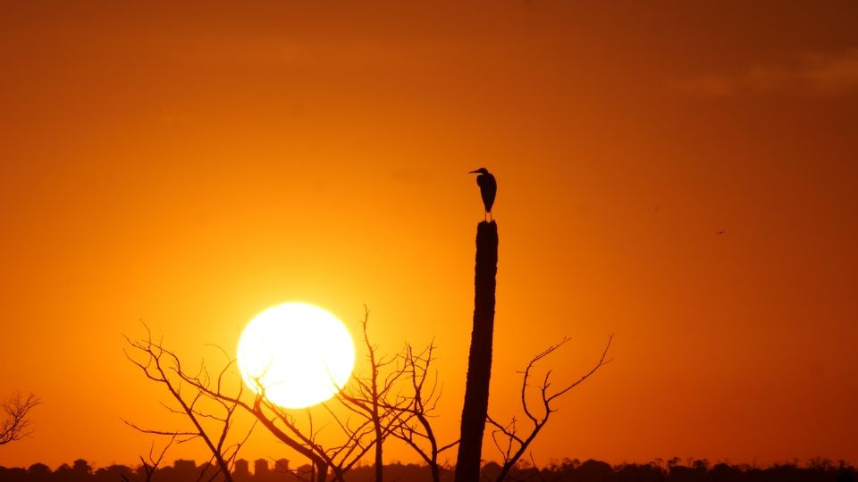 Habrá cielo despejado en Nuevo Laredo