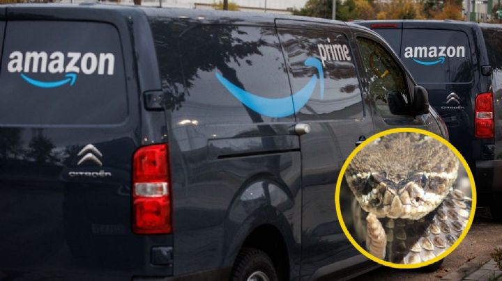 Repartidora de Amazon es mordida por serpiente venenosa; estaba entregando un paquete