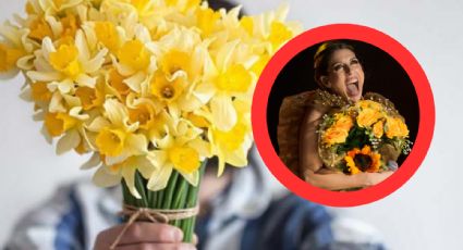 ¿Por qué se regalan flores amarillas hoy 21 de septiembre? | VIDEO
