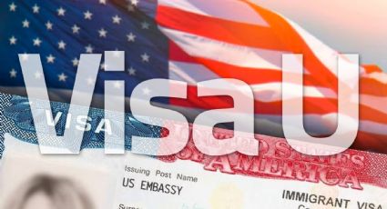 Visa U, para poder vivir y trabajar legalmente en Estados Unidos; estos son los requisitos