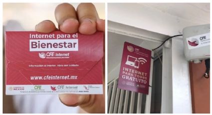 Internet de CFE, ¿dónde conseguir el chip gratis?