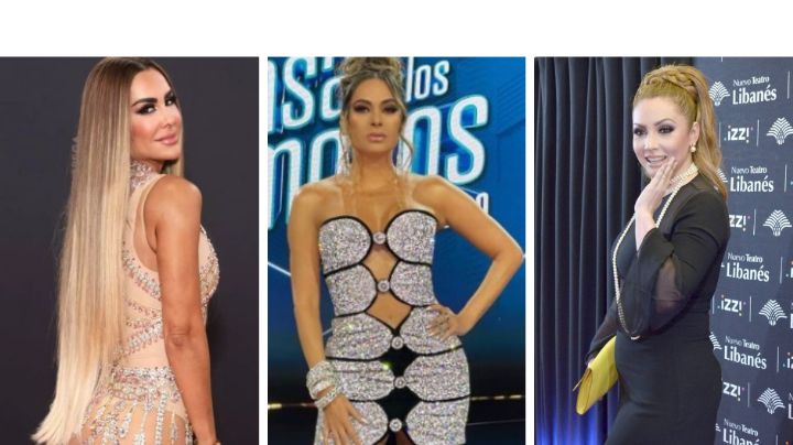 Las señoras del narco: Galilea Montijo, Ninel Conde, Karla Panini, Karla Luna, Paty Navidad…