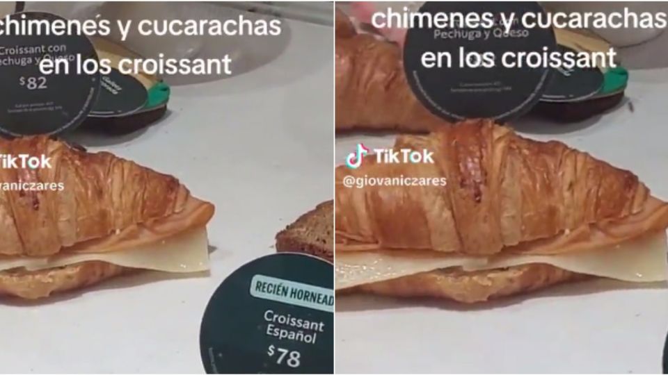 Captan a cucarachas en Starbucks, ¿dónde ocurrió?