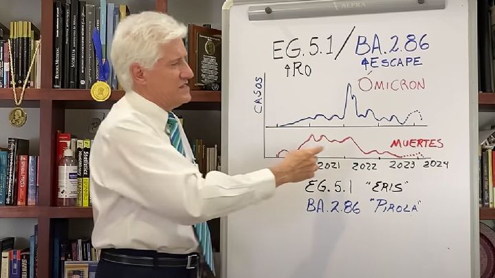 "Todos nos vamos a enfermar de nuevo de covid": especialistas | VIDEOS