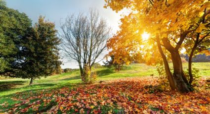 ¿Cuándo inicia el equinoccio de otoño 2023 en México?