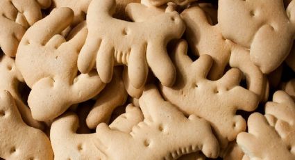 Estas son las 4 marcas de galletas de animalitos peor calificadas por Profeco