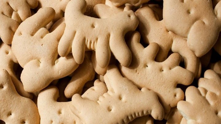 Estas son las 4 marcas de galletas de animalitos peor calificadas por Profeco