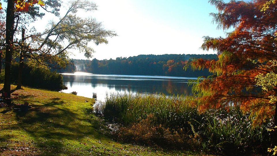 Tyler State Park en Texas