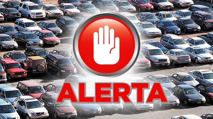 ¡Alerta! No compres estos autos chocolate baratos; no los podrás regularizar