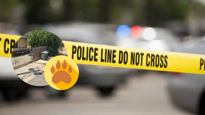 Policía hace el oso: pie humano encontrado cerca del Puente II era una garra animal