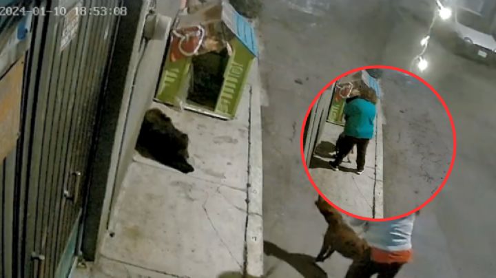Captan momento en el que dos mujeres maltratan a un perro en Iztapalapa | VIDEO