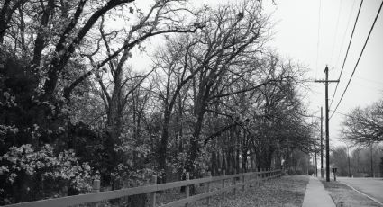 Clima de Texas: ¿Cuándo terminará el frío extremo de la helada?