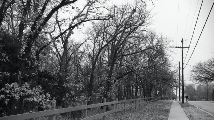 Clima de Texas: ¿Cuándo terminará el frío extremo de la helada?